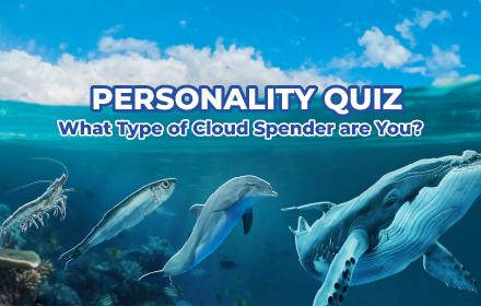 Personality Quiz: What Type of Cloud Spender Are You?